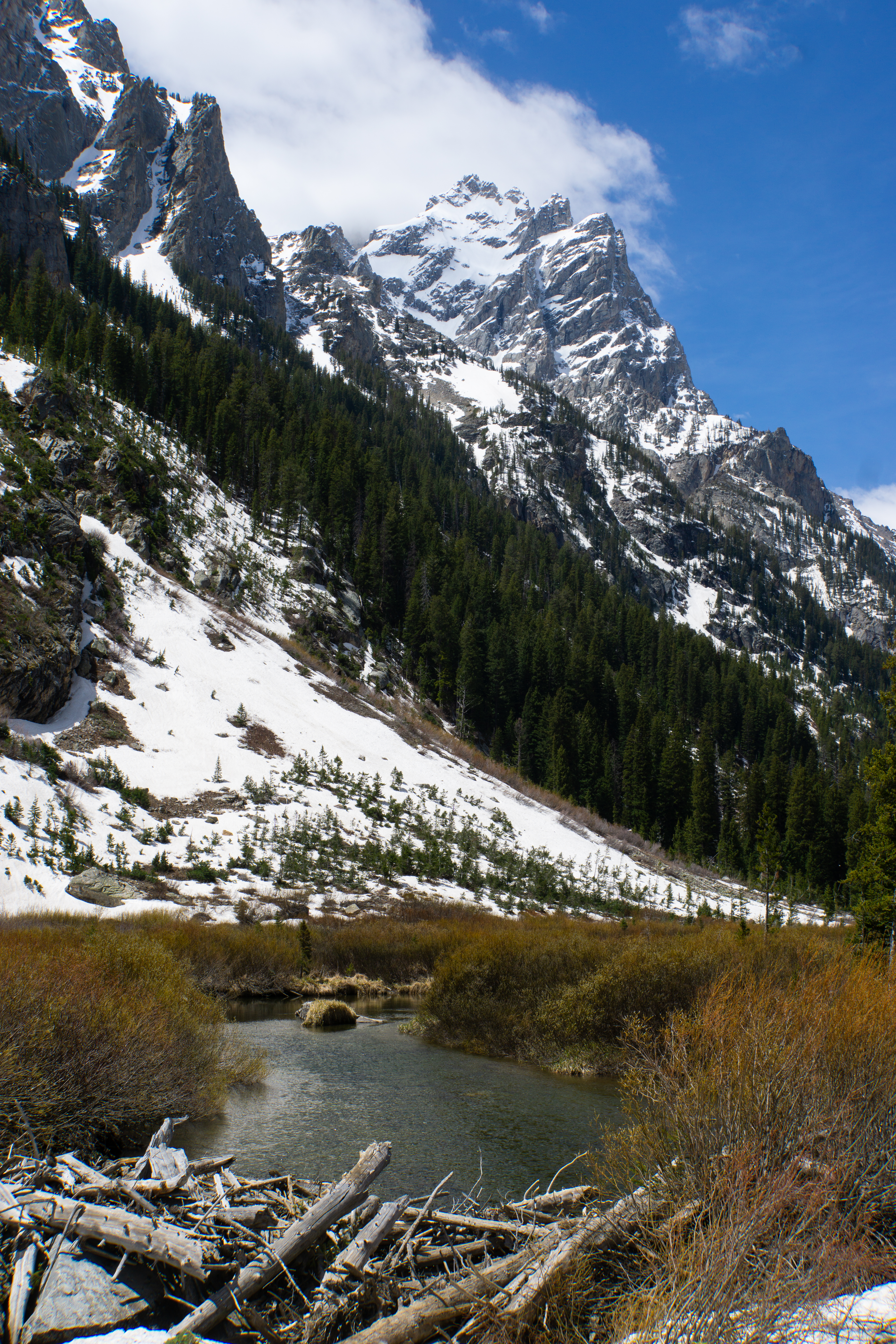 US National Parks 2022 30